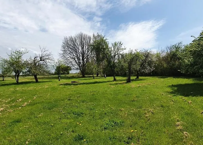 Amazonite - 6 A 8 Couchages * Archigny